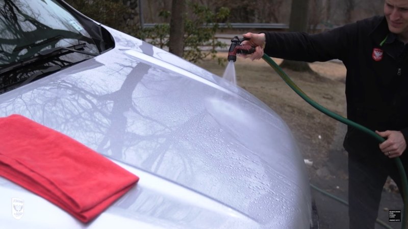 Comment enlever la litière d'un oiseau du corps d'une voiture Как удалить птичий помёт