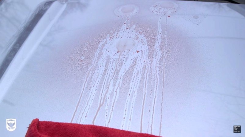 Comment enlever la litière d'un oiseau du corps d'une voiture Как удалить птичий помёт