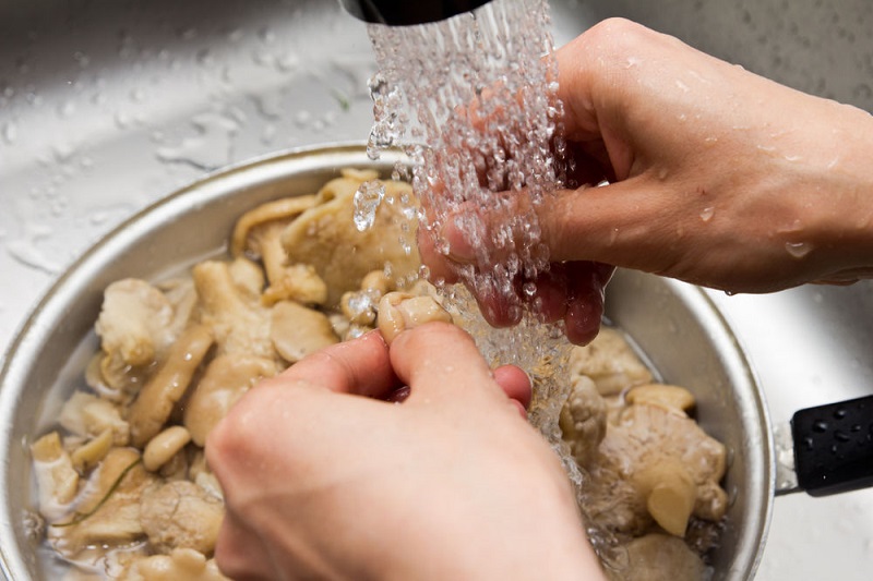 Faits amusants sur les champignons Польза грибов