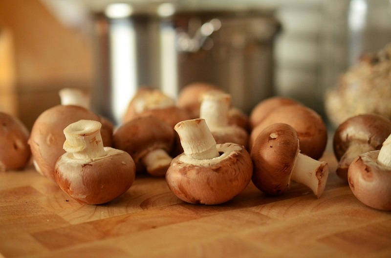 Faits amusants sur les champignons Польза грибов