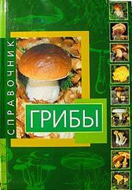 Classification des champignons Классификация грибов