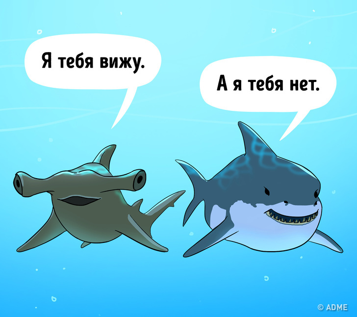 Questions d'enfants que même les adultes ne connaissent pas Ответы на детские вопросы