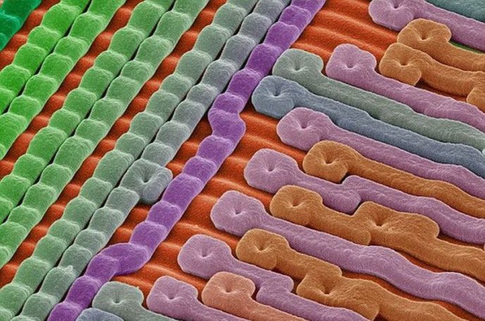 La surface d'une micropuce au silicium - Les choses habituelles au microscope: que cachent-elles? Поверхность кремниевого микрочипа - Обычные вещи под микроскопом