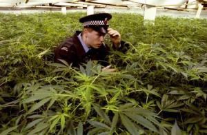 Méthodes de fumer de la marijuana