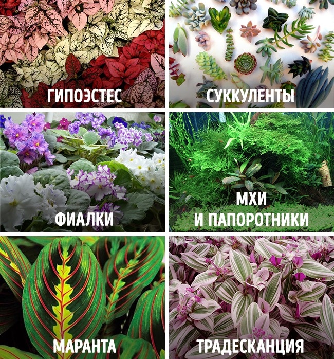 Fabuleux mini jardin faites-le vous-même Сказочный мини-сад своими руками