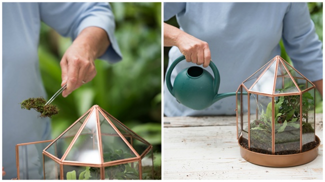 Fabuleux mini jardin faites-le vous-même Сказочный мини-сад своими руками