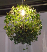 Lampe de plantes d'intérieur