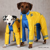 Vêtements pour chiens