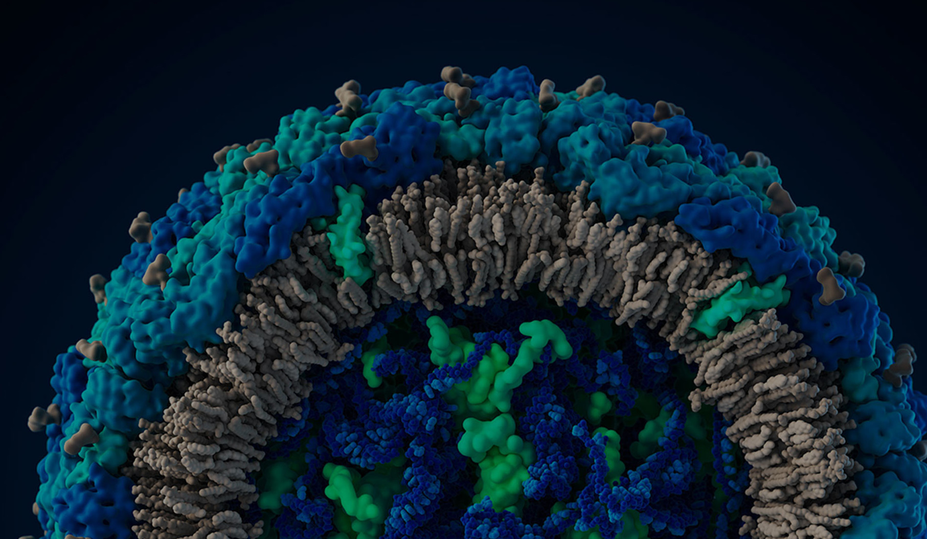 Faits étonnants sur les virus