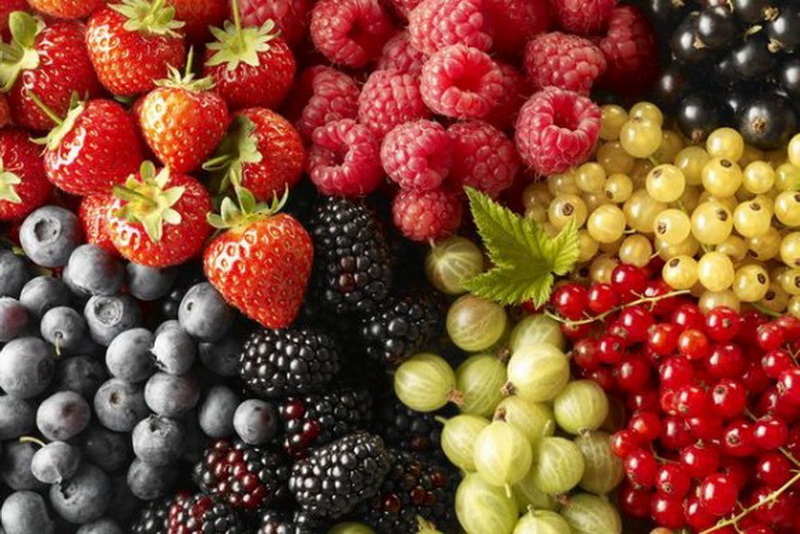 Avantages Berry Польза разных ягод