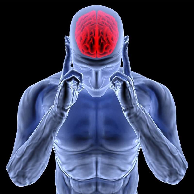 Notre cerveau a la capacité de changer, de récupérer et même de récupérer à tout âge. Мозг восстанавливается и излечивается