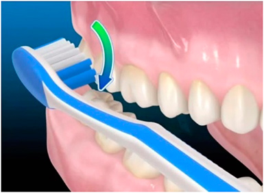 Règles pour le soin des dents Ошибки при чистке зубов