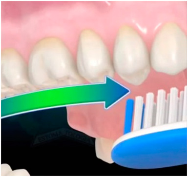 Règles pour le soin des dents Ошибки при чистке зубов