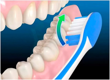 Règles pour le soin des dents Ошибки при чистке зубов
