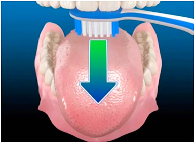Règles pour le soin des dents Ошибки при чистке зубов