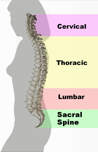 Exercices pour l'ostéochondrose cervicale dont souffre 90% de la population valide Упражнения при шейном остеохондрозе