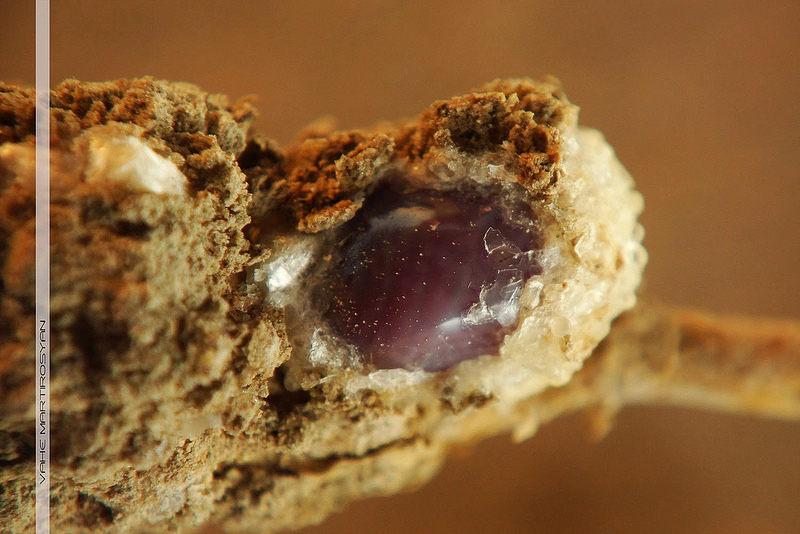 Coca Cola au microscope. Des faits qui mettent fin à la question: boire ou ne pas boire Coca Cola под микроскопом