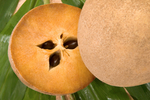 Sapodilla - Fruits exotiques du monde entier dont vous n'avez jamais entendu parler Саподилла - Экзотические фрукты со всего света, о которых вы не слышали