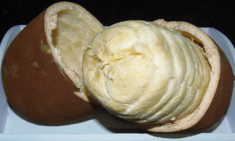 Kupuasu - Fruits exotiques du monde entier dont vous n'avez pas entendu parler КупуасуЭкзотические фрукты со всего света, о которых вы не слышали