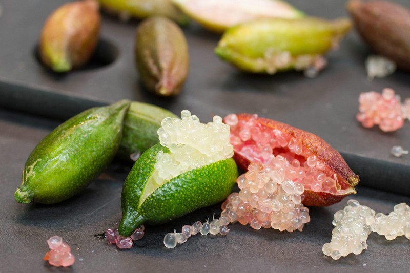 Finger Lime - Des fruits exotiques du monde entier dont vous n'avez pas entendu parler Пальчиковый лайм - Экзотические фрукты со всего света, о которых вы не слышали