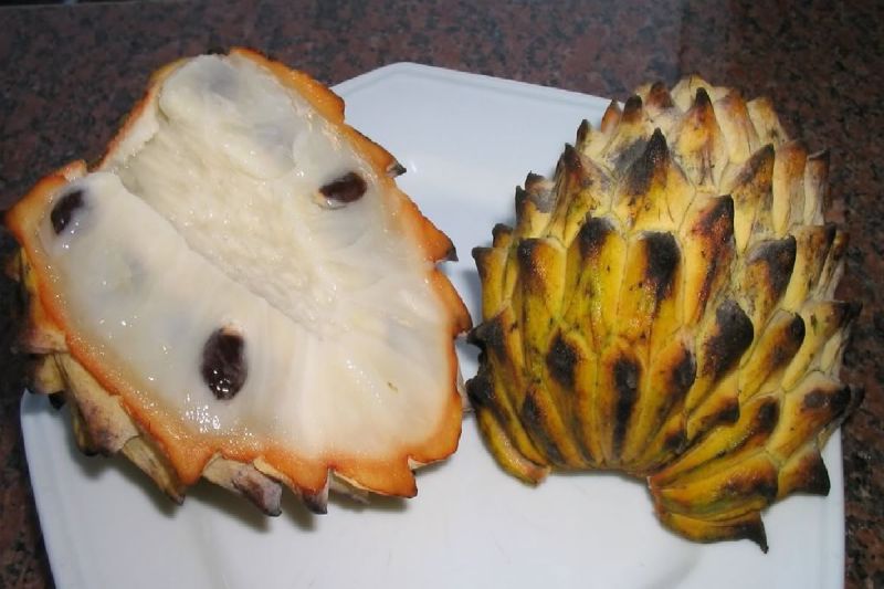 Biriba - Des fruits exotiques du monde entier dont vous n'avez jamais entendu parler Бириба - Экзотические фрукты со всего света, о которых вы не слышали