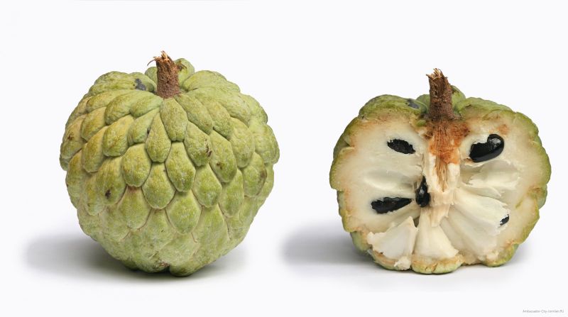 Pomme à sucre - Fruits exotiques du monde entier dont vous n'avez pas entendu parler Сахарное яблоко - Экзотические фрукты со всего света, о которых вы не слышали