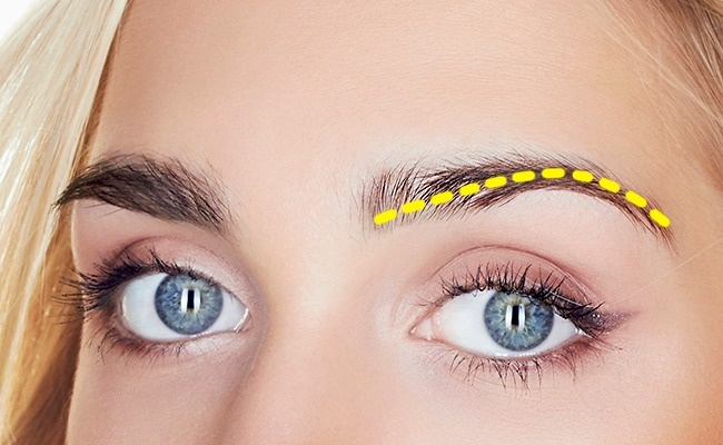 Quel est votre personnage en fonction des sourcils Брови и ваш характер