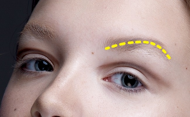Quel est votre personnage en fonction des sourcils Брови и ваш характер