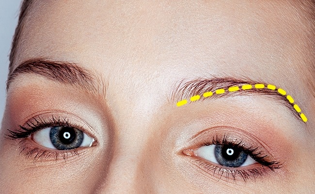 Quel est votre personnage en fonction des sourcils Брови и ваш характер