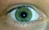 Yeux verts - Types de couleurs des yeux