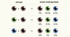 Comme la couleur des yeux est passé de parent à enfant Рассчитать цвет глаз ребенка