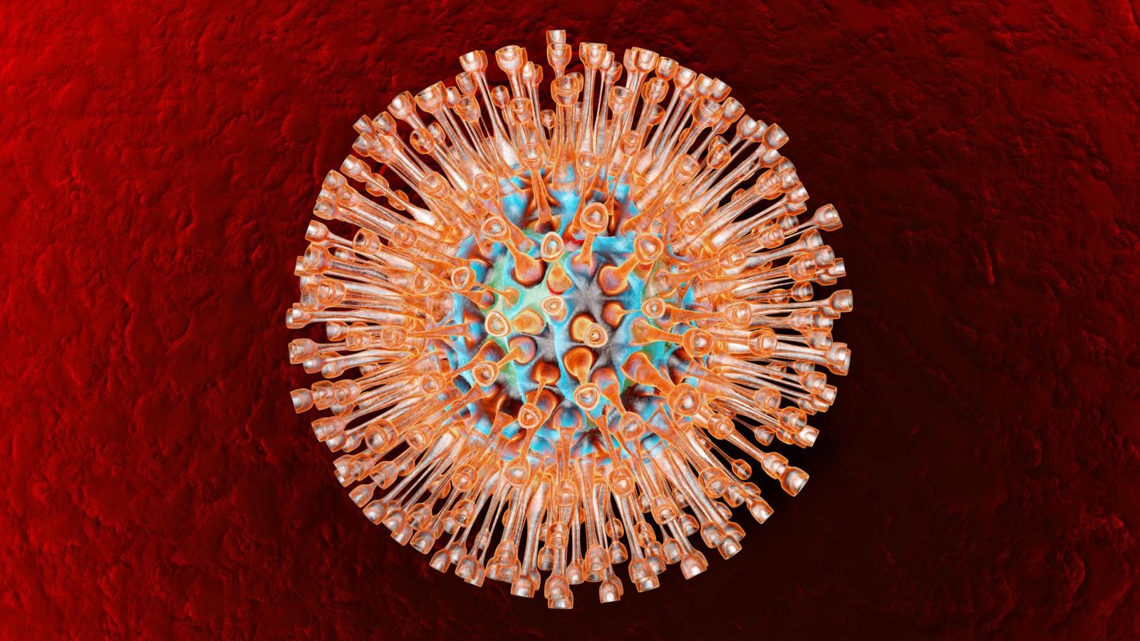 Une douzaine de faits étonnants sur les virus Удивительные факты о вирусах