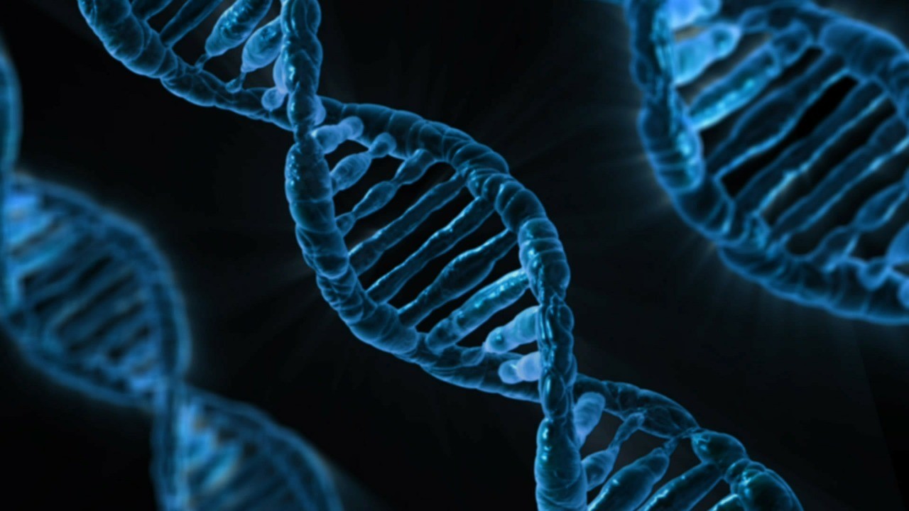 Une douzaine de faits étonnants sur les virus Удивительные факты о вирусах