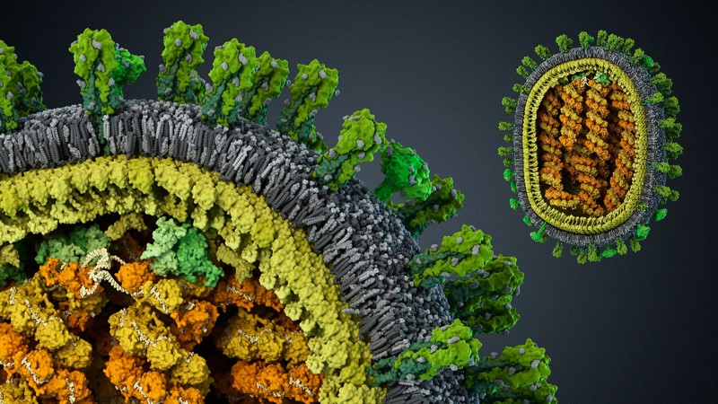 Une douzaine de faits étonnants sur les virus Удивительные факты о вирусах
