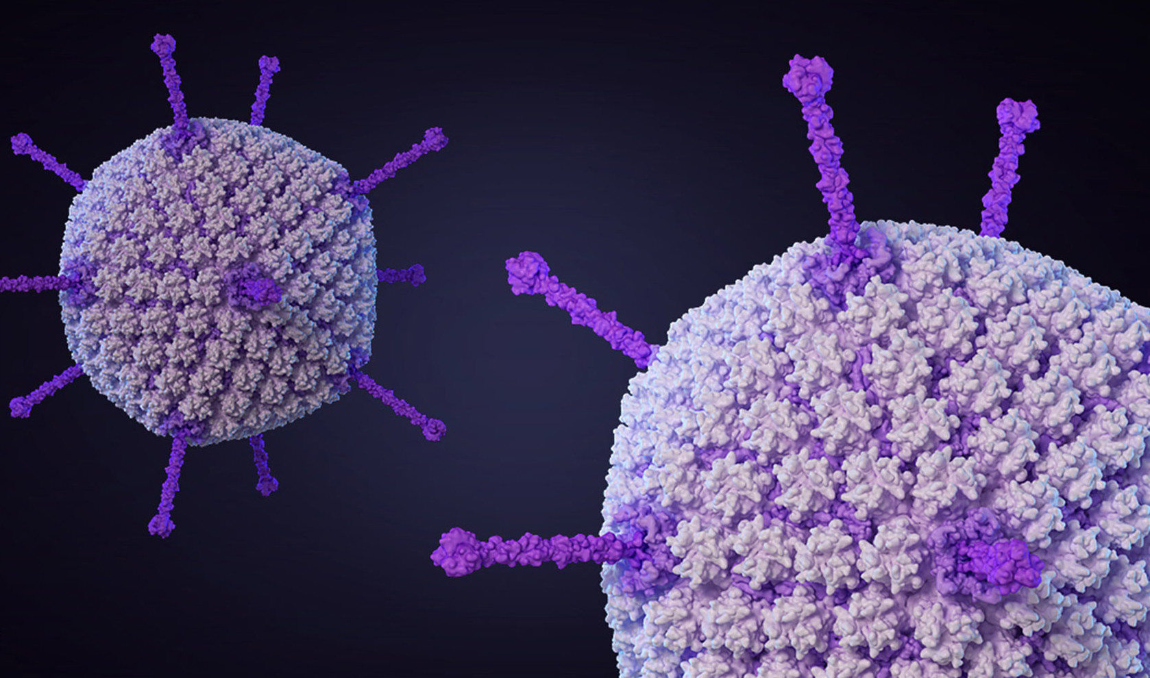Une douzaine de faits étonnants sur les virus Удивительные факты о вирусах