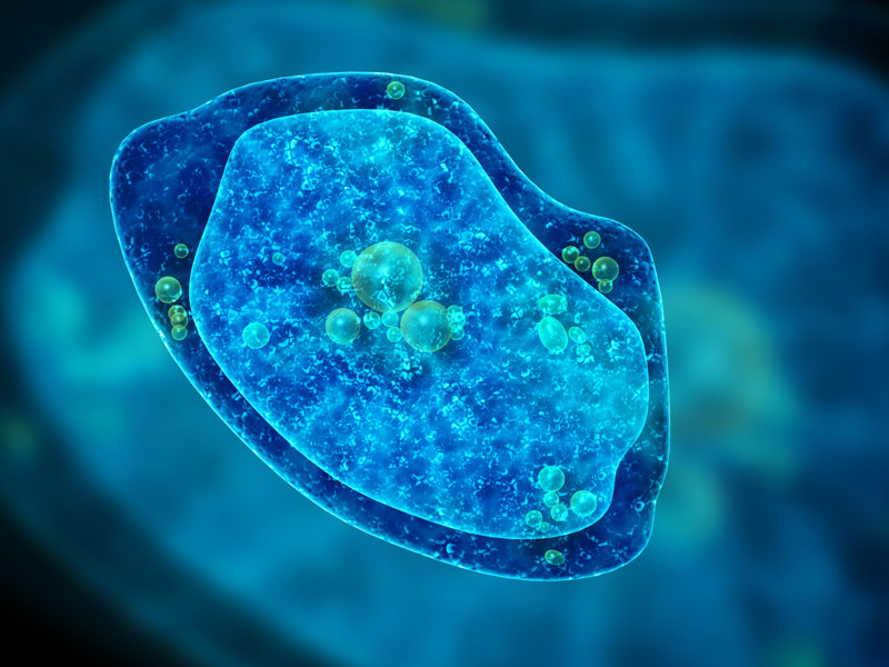 Une douzaine de faits étonnants sur les virus Удивительные факты о вирусах