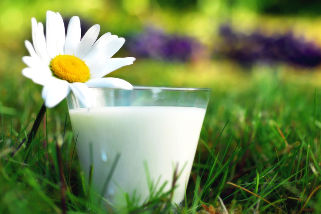 Comment vérifier la qualité des produits: les moyens les plus efficaces Как проверить качество продуктов