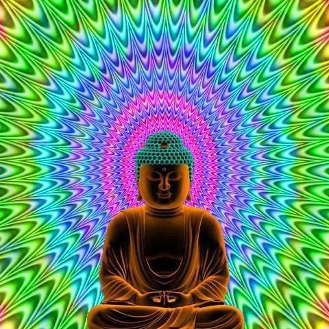 Mon neuroscientifique, le dalaï-lama: comment les scientifiques ont été conquis par la méditation Медитация покорила ученых