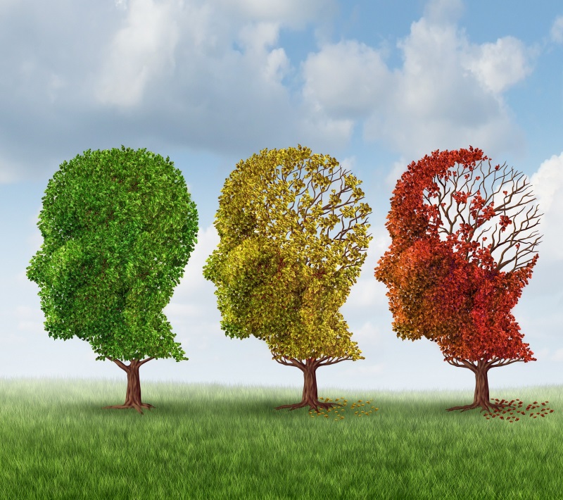 Dans un esprit sain et une mémoire solide: 4 façons scientifiques de prolonger la jeunesse du cerveau С помощью этих четырех упражнений ты не потеряешь ясность мышления до самой старости!