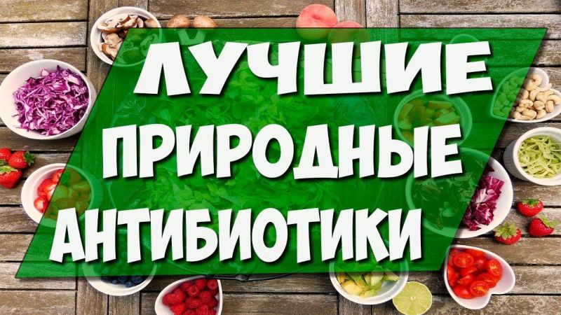 Les scientifiques nommés les meilleurs antibiotiques naturels Природные антибиотики