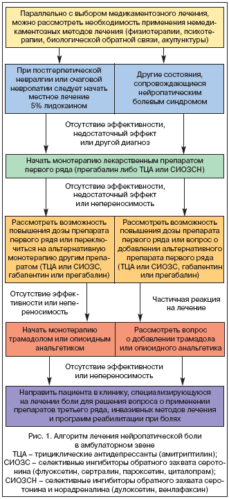 Douleur neuropathique Нейропатическая боль