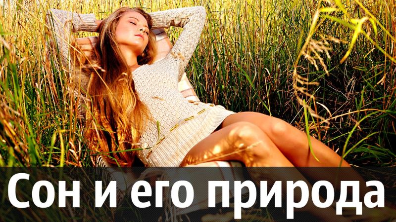 Le sommeil comme cause de fatigue Сон как причина усталости