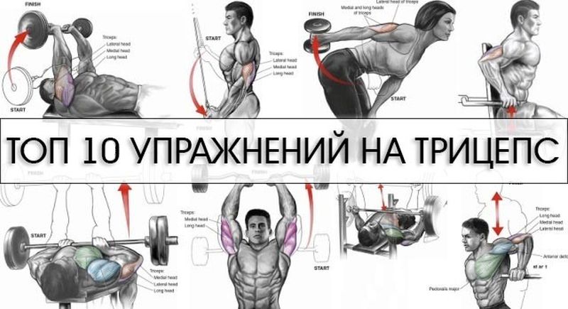 Exercices pour la construction de triceps puissants Упражнения для трицепсов