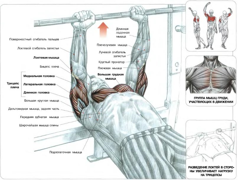Appuyez sur l'étreinte étroite - Exercices pour construire des triceps puissants Жим лежа узким хватом - Упражнения для трицепсов
