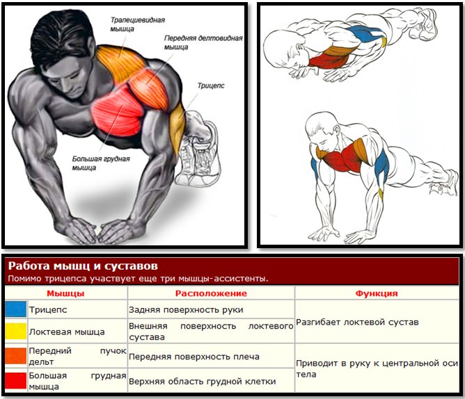 Push ups du sol avec une poignée étroite - Exercices pour la construction de triceps puissants Отжимания от пола узким хватом - Упражнения для трицепсов