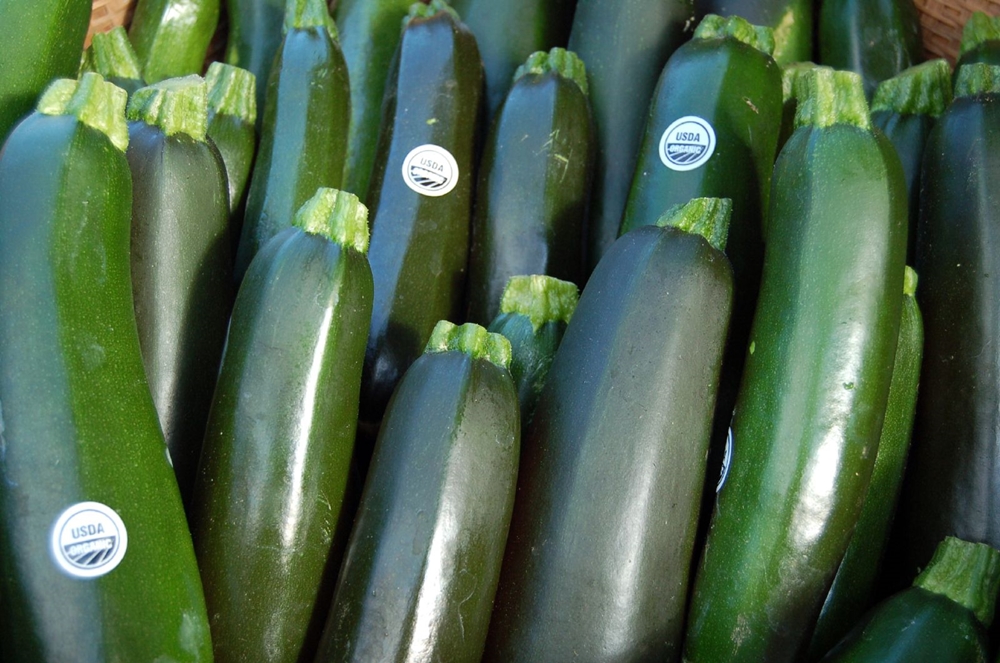 Zucchini - Voici l'histoire de chaque légume sur votre table. Vous ne croirez pas où les concombres! Кабачки - История каждого овоща
