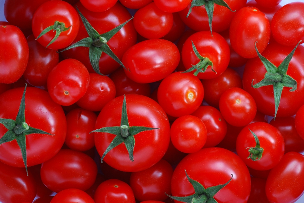 Tomates - Voici l'histoire de chaque légume sur votre table. Vous ne croirez pas où les concombres! Помидоры - История каждого овоща