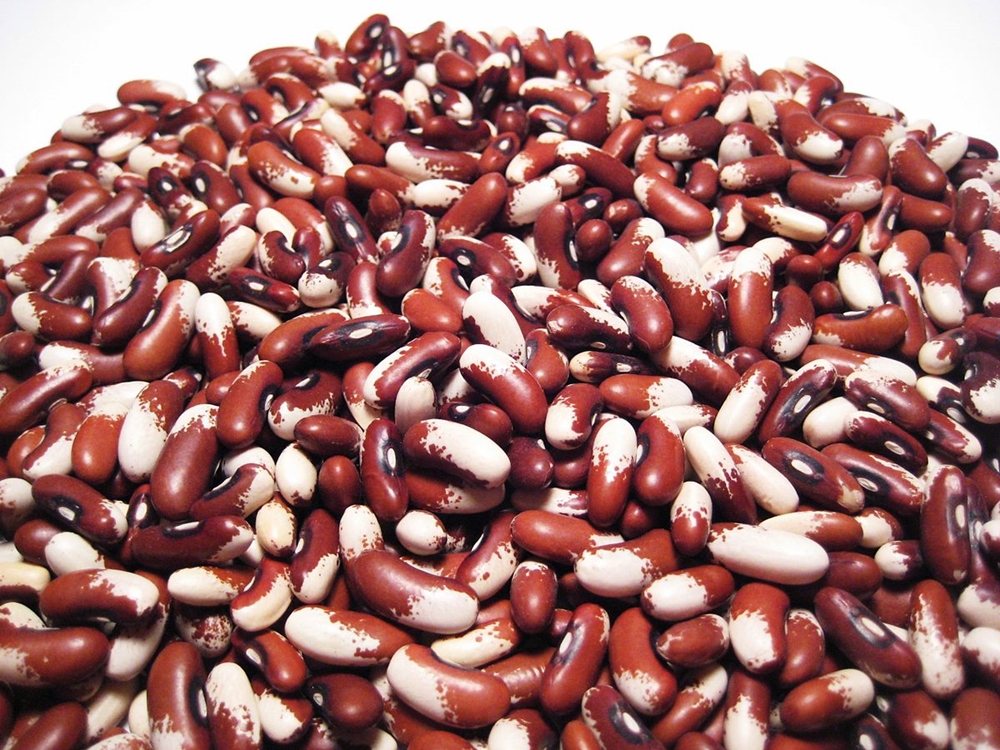 Haricots - Voici l'histoire de chaque légume sur votre table. Vous ne croirez pas où les concombres! Фасоль - История каждого овоща