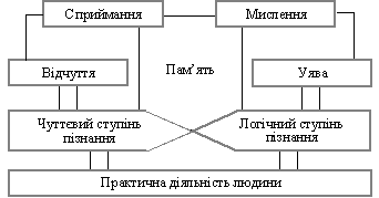 La structure de la sphère spéciale des spécialités