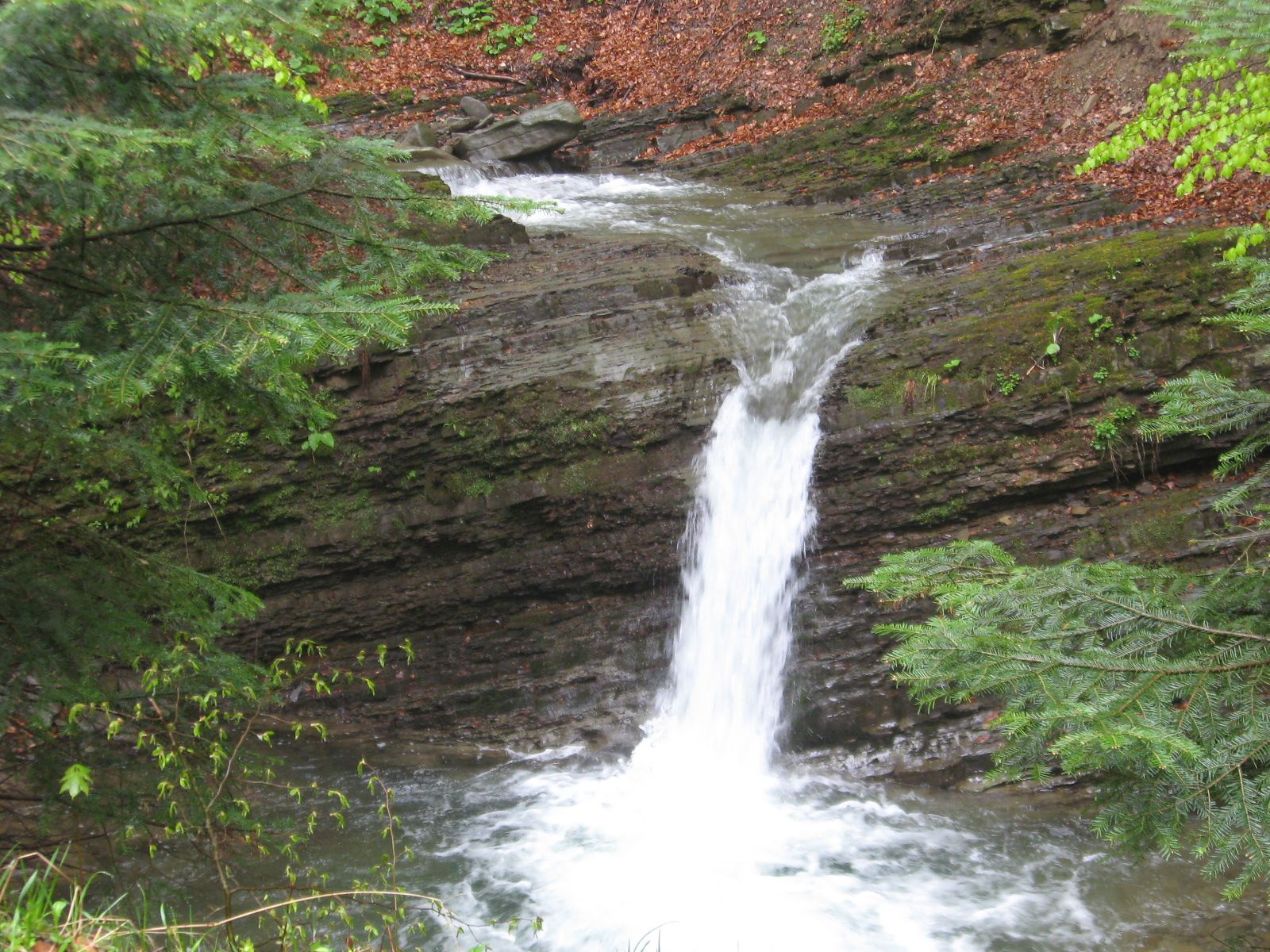 Chutes de Lumshor - Toutes les cascades d'Ukraine: plus de 40 belles cascades d'Ukraine (photo) Лумшорский водопады - ТОП водопадов Украины